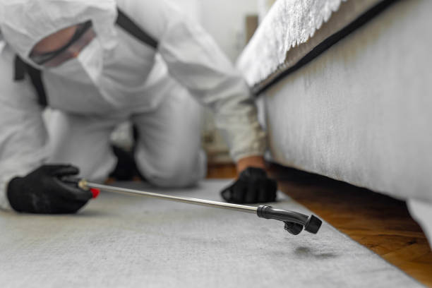 Professional Cockroach Control technician working in Worcester, MA
