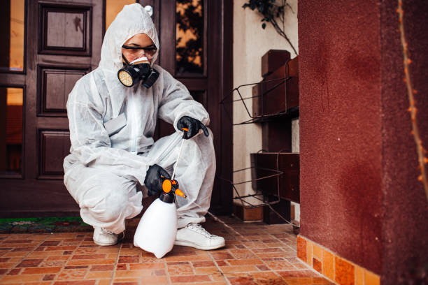 Reliable Cockroach Control contractor in Worcester, MA by Nex Pest Control