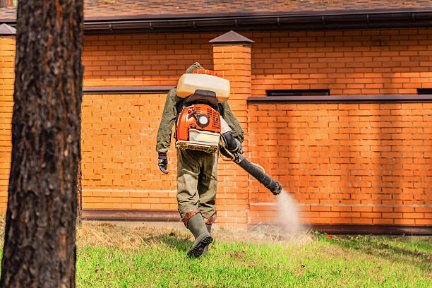 Trusted Ant Control service in Worcester, MA - Nex Pest Control